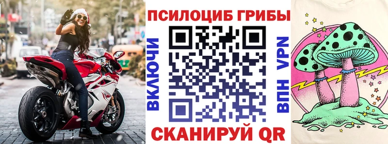 Псилоцибиновые грибы GOLDEN TEACHER  сколько стоит  Павлово 