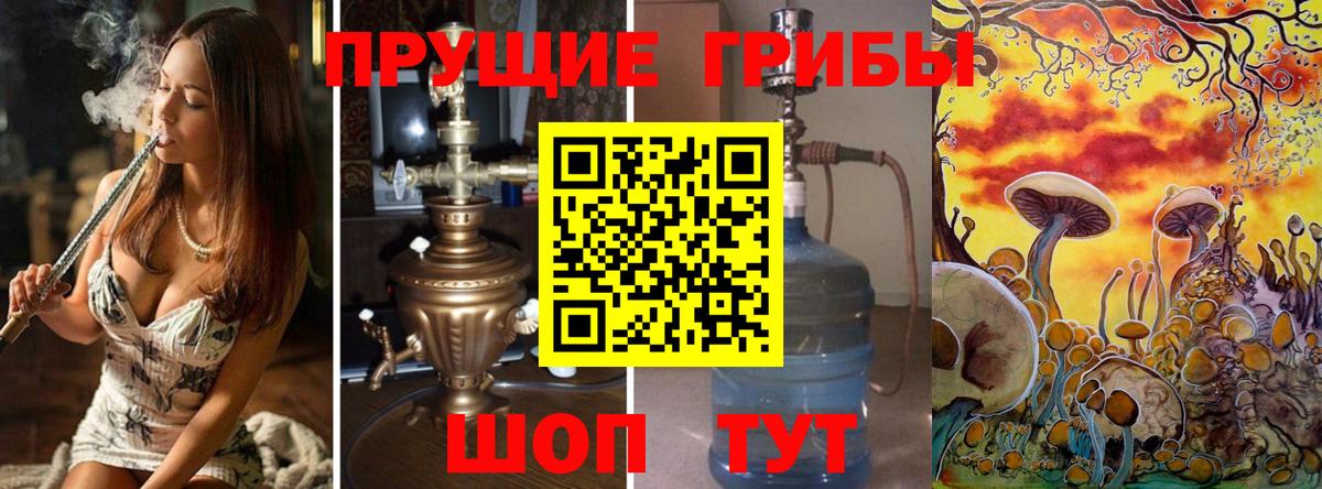Галлюциногенные грибы MAGIC MUSHROOMS  Псилоцибиновые грибы GOLDEN TEACHER  магазин  наркотиков  Вход с VPN  Павлово 